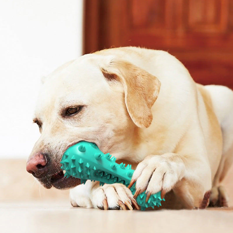 Dog squeezing toy