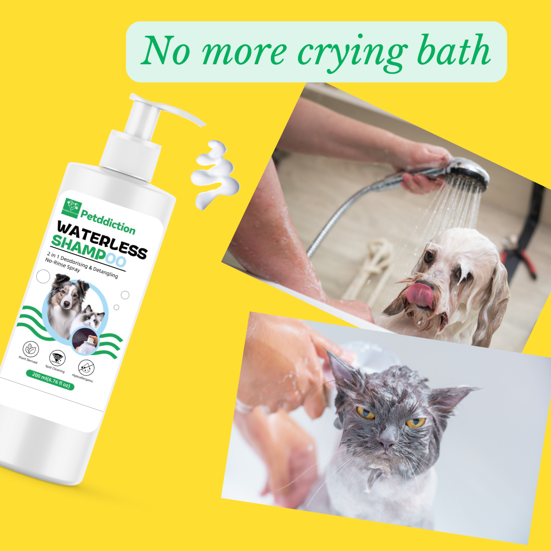 PETDDICTION Pet waterless organic cleaning shampoo