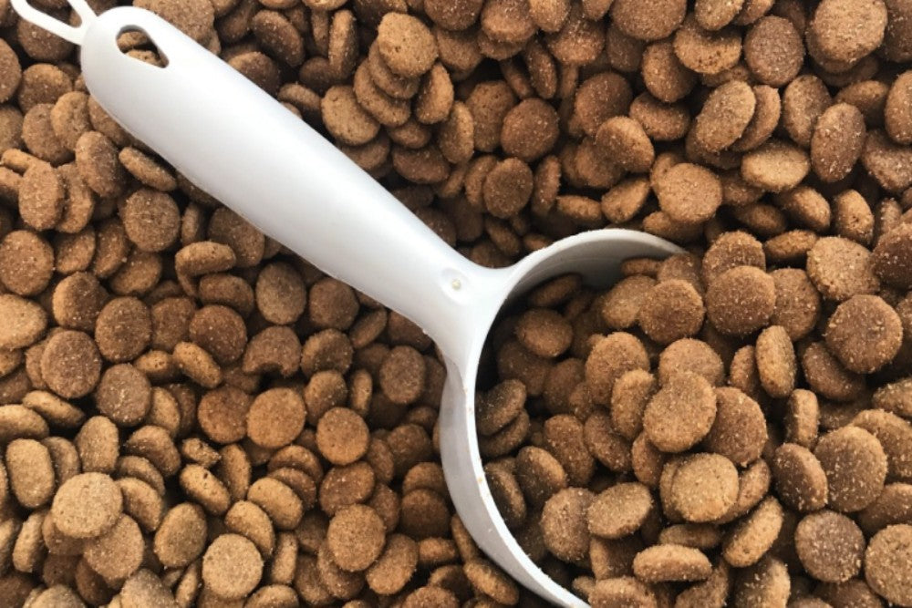 dry food kibble