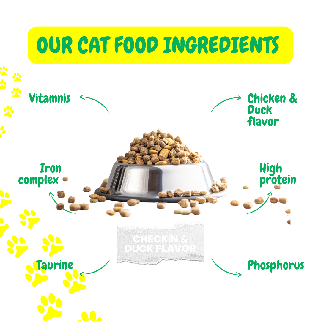 PETDDICTION Premium High-Protein Dry Cat Food