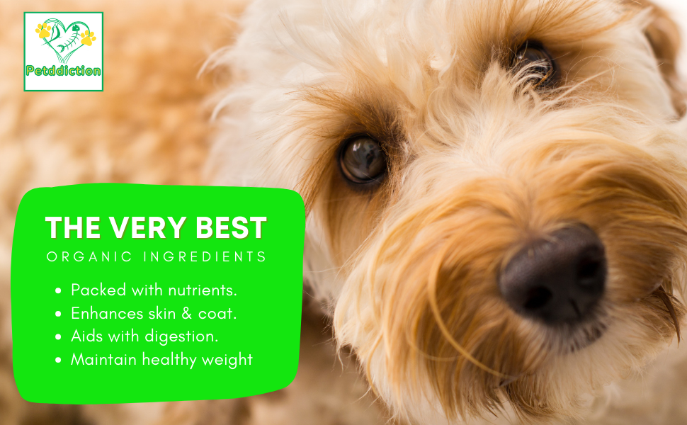 Petddiction Dog dry food