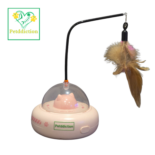 PETDDICTION cat laser toy
