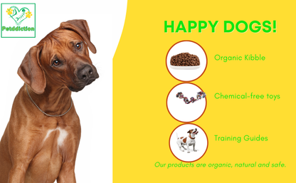 Petddiction Dog dry food