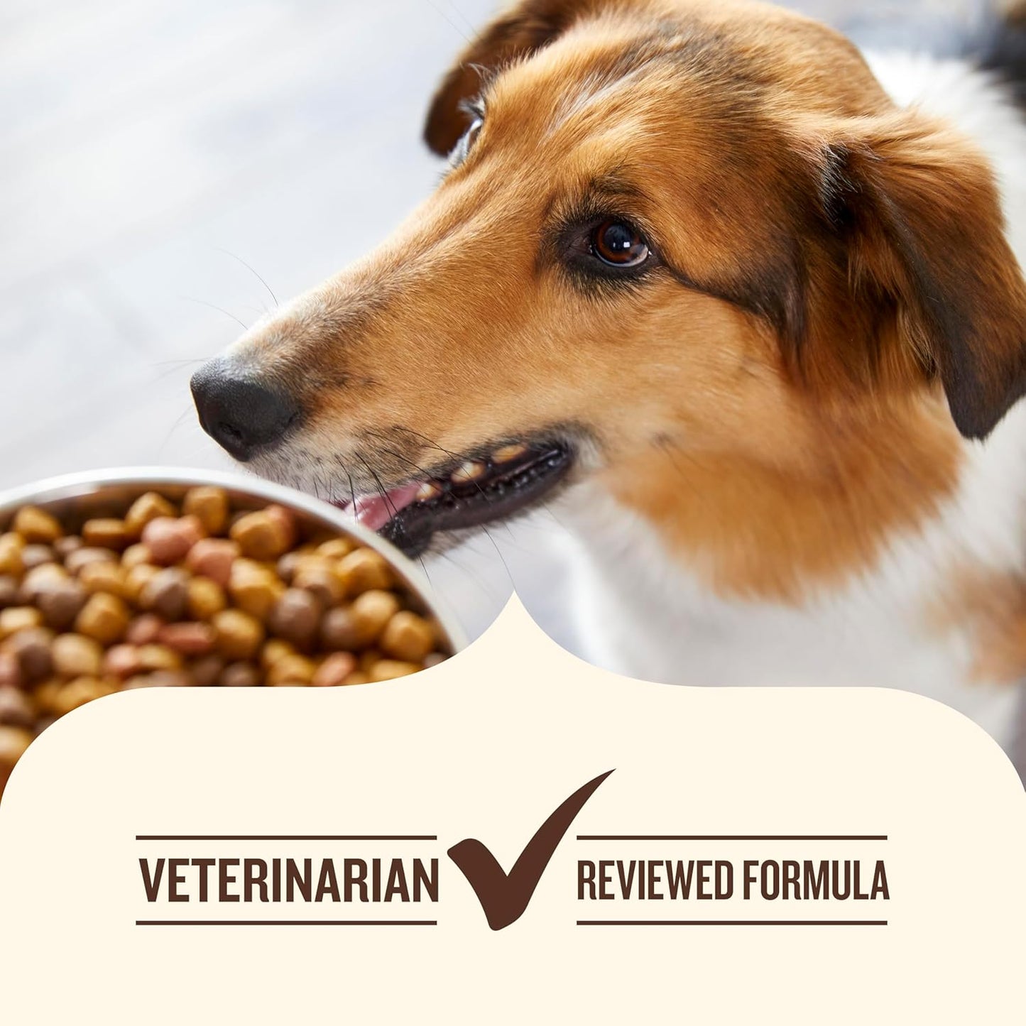 Petddiction Dog dry food