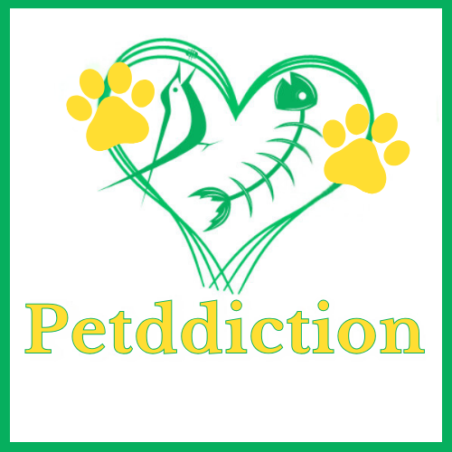 petddiction.com