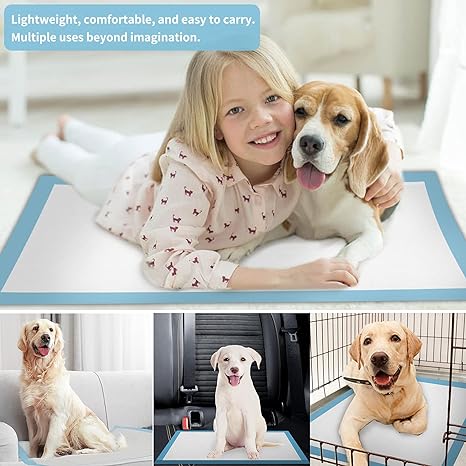 Dog pee training Pads for