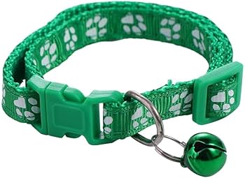 cat collar with bell