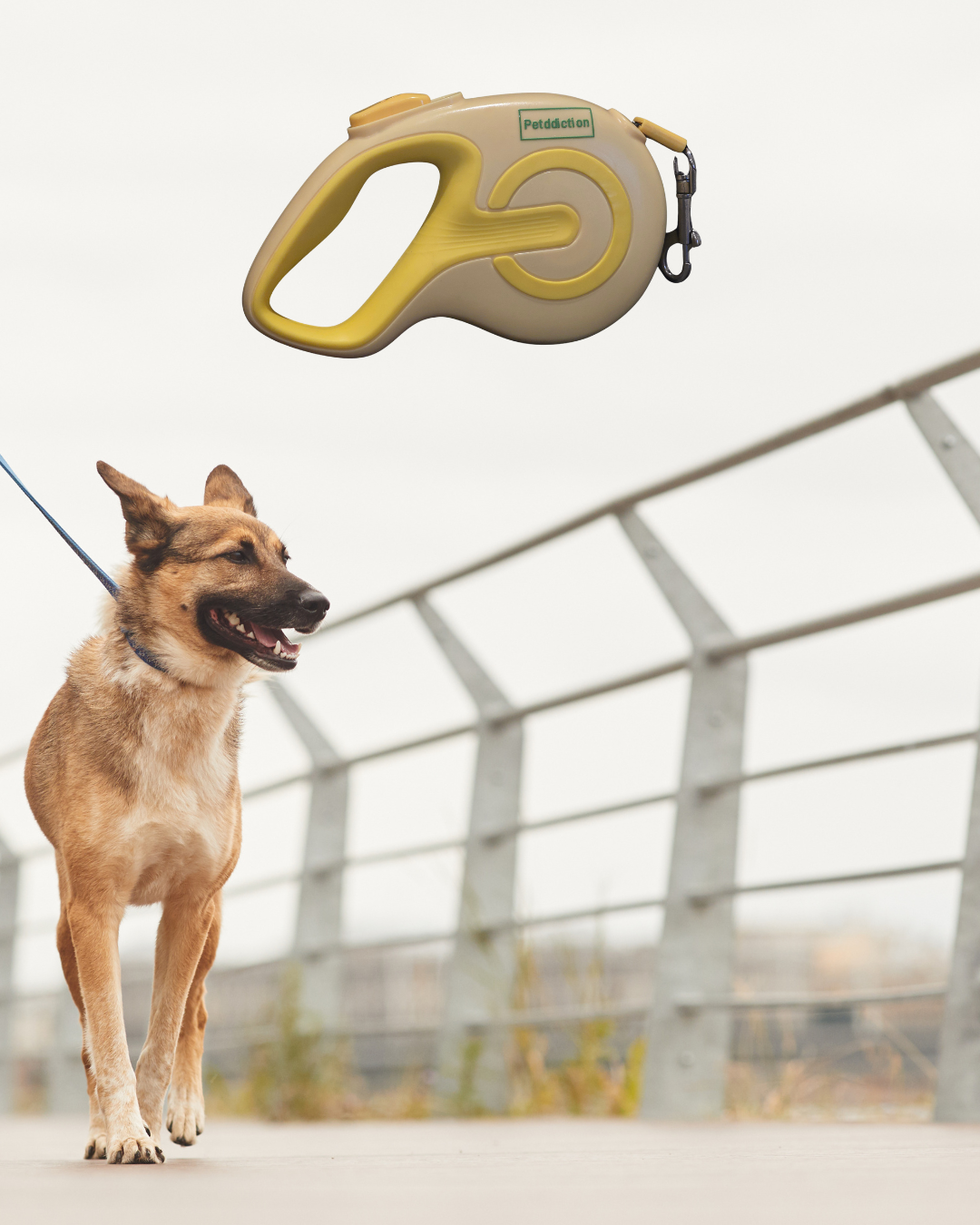 PETDDICTION Retractable Dog leash 5 meters