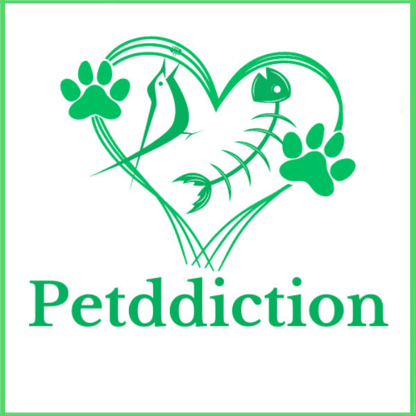 petddiction.com