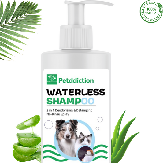 PETDDICTION Pet waterless  organic cleaning shampoo